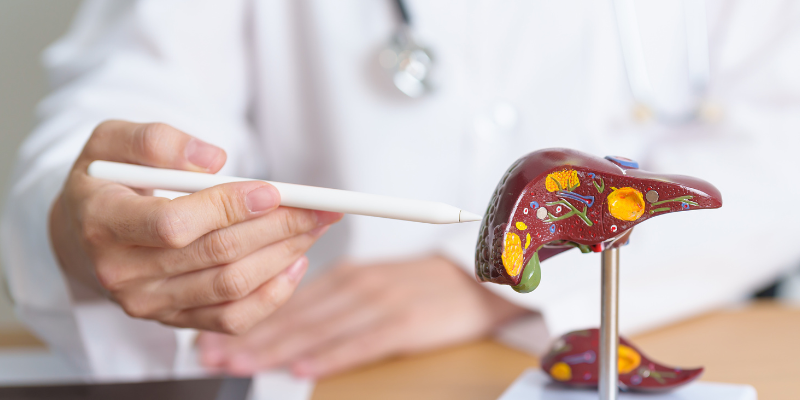 Kepenys ir ju sveikata hepasan