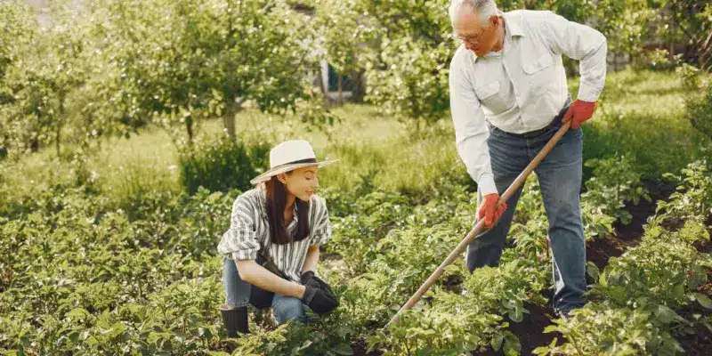 Sodo darbai sanariai