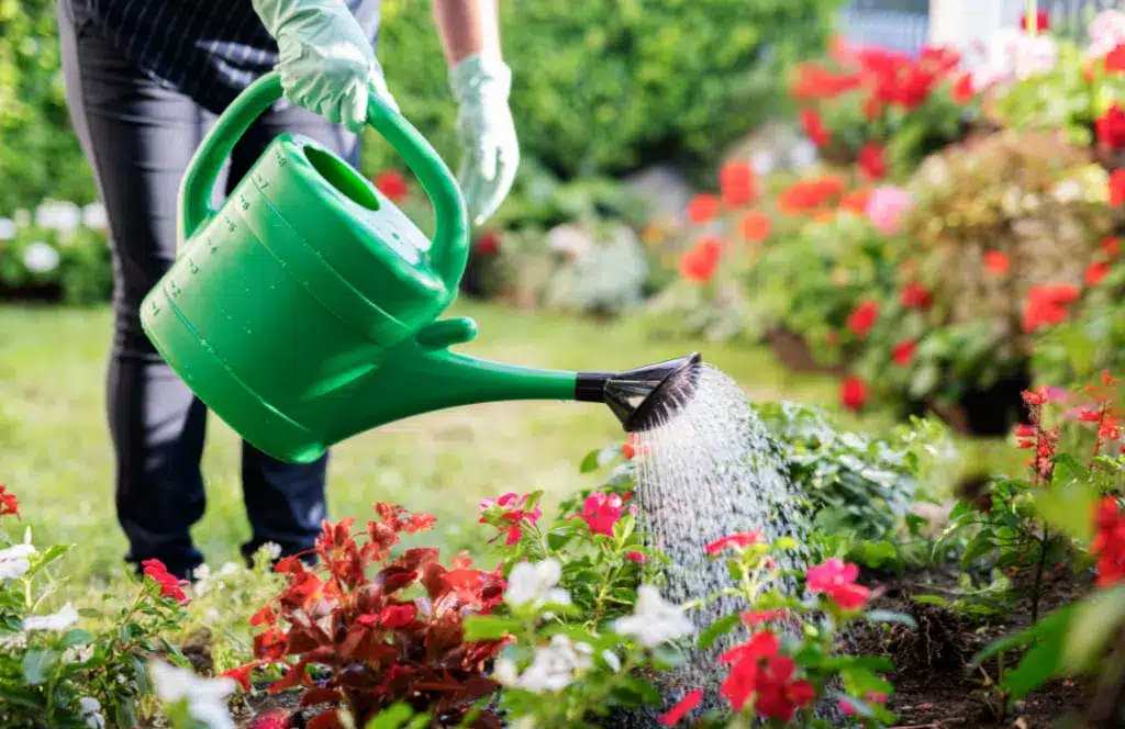 Sanariu sveikata sodo darbai